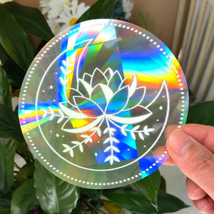 Lotus Moon